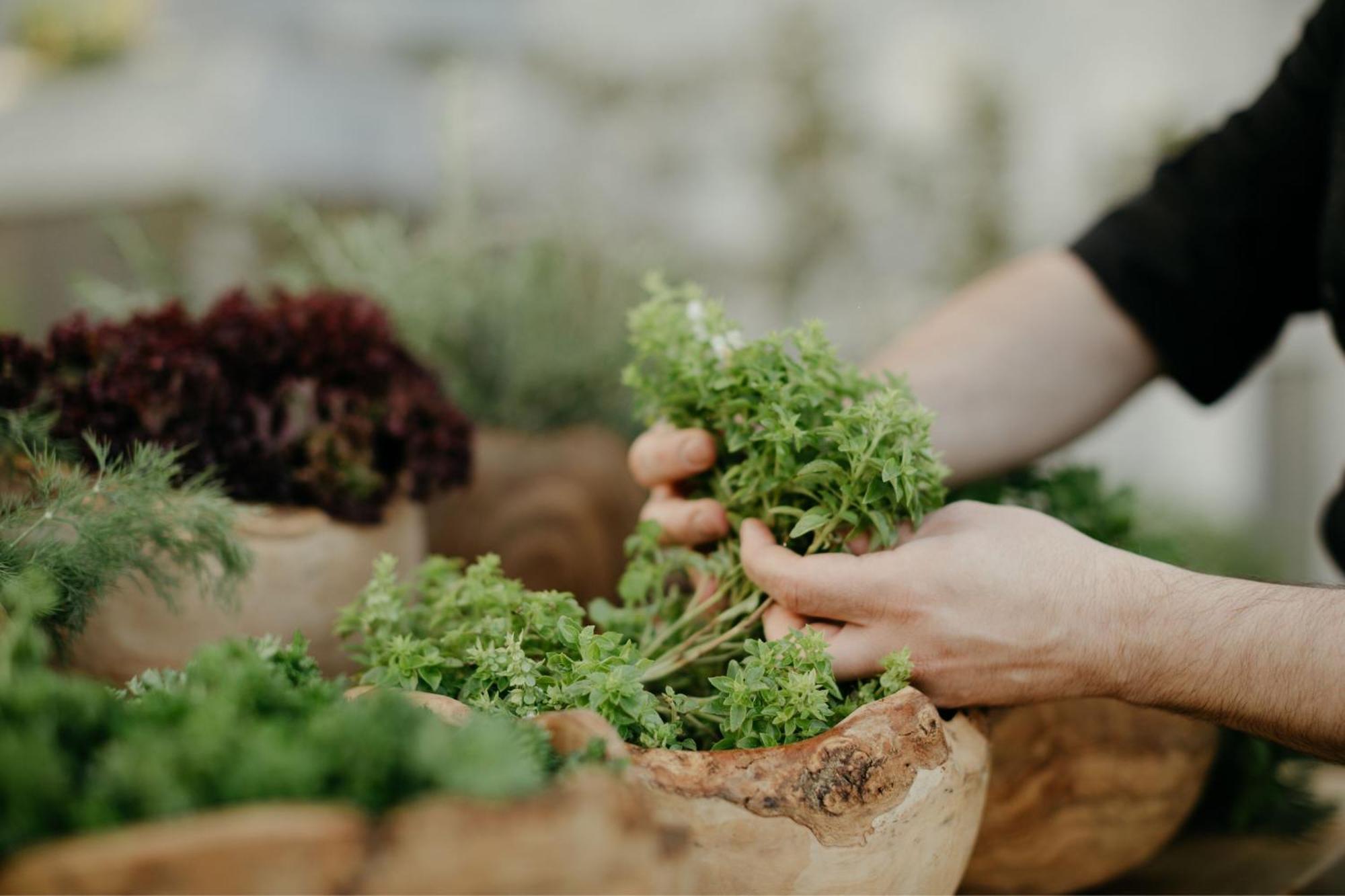 Jw Marriott Hotel Istanbul Marmara Sea Exterior foto A chef preparing salad greens